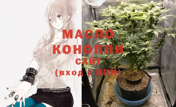 метадон Новозыбков