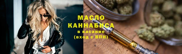 индика Железноводск