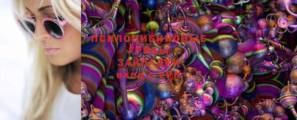 гашик Новокубанск