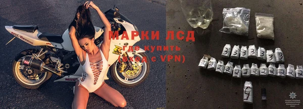 гашик Новокубанск