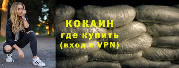 индика Жердевка