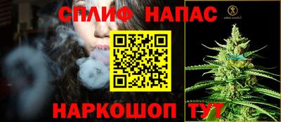 стаф Заволжье