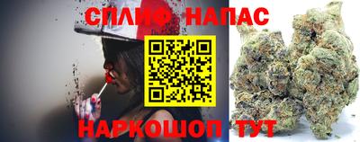 дмт Заводоуковск