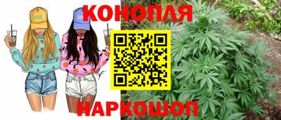 стаф Заволжье
