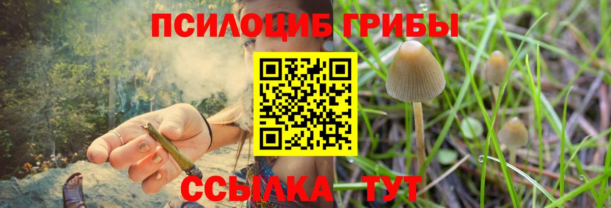 Галлюциногенные грибы MAGIC MUSHROOMS Тара