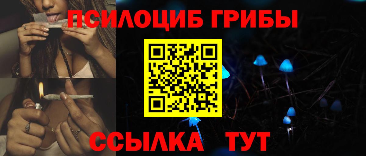 Галлюциногенные грибы прущие грибы  Вход с VPN  Тара 