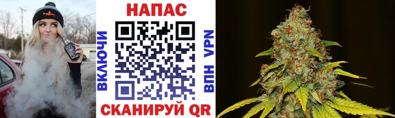 наркошоп  Тара  МАРИХУАНА индика 